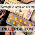 Kamagra À Croquer 100 Mg new06